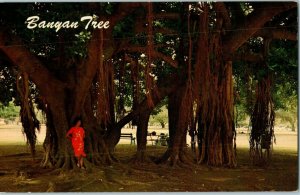 Banyan Tree with aerial root system at Lahaina Maui Hawaii Postcard