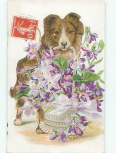 foreign c1910 Postcard CUTE DOG CARRYING FLOWER BASKET AC3301