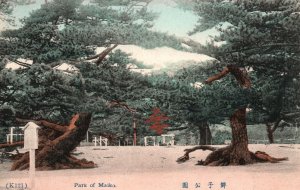 Vintage Postcard 1910's View National Park of Maiko near Kobe Japan JPN 