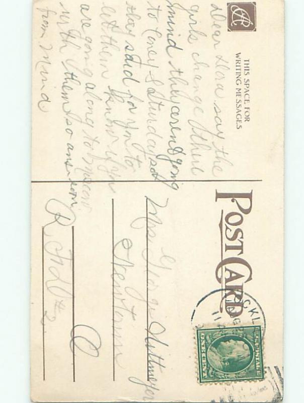 Divided-Back BEAUTIFUL FLOWERS SCENE Great Postcard AA2515