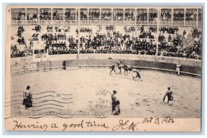 1906 Crowd Watching Bull Fight Juarez Mexico Posted Antique Postcard
