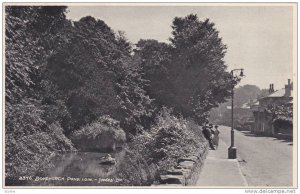 Isle of Wight , Bonchurch Pond , 10-30s