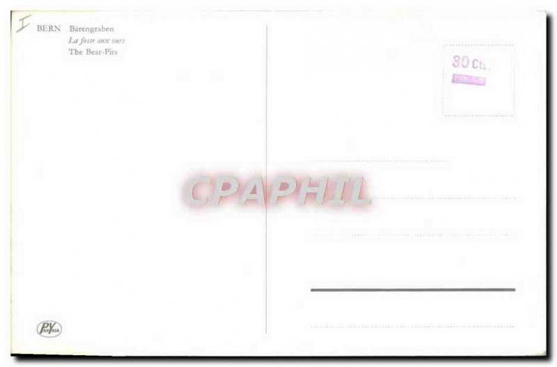 Modern Postcard Bern The Bear Pit