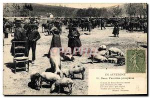 Old Postcard Folklore Auvergne Two families prosperous Pigs Pigs Walk