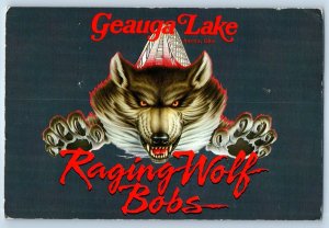 1960 Aurora Ohio Vintage Postcard Geauga Lake Raging Wolf Bobs Roller Coaster