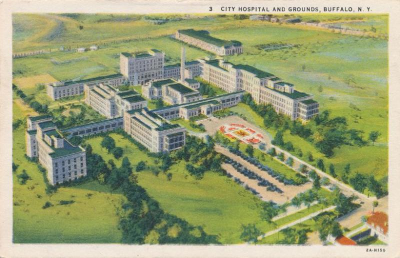 Aerial View City Hospital and Grounds - Buffalo NY, New York - Linen