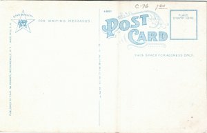 Postcard NY Canada Lake North Side Cottage & Boat Houses on Shore 1920s S29