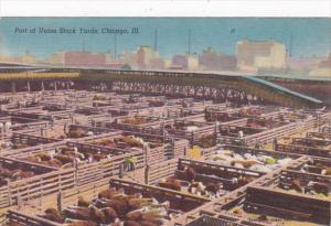 Illinois Chicago Part Of The Union Stock Yards