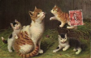 PC CATS, A FAMILY OF KITTENS IN THE BARN, Vintage Postcard (b47211)