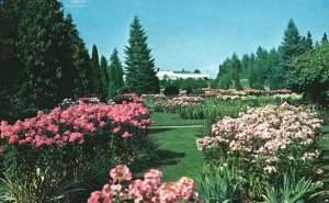 Vintage Postcard 1957 Duncan Gardens & Observatory Spokane Washington WA