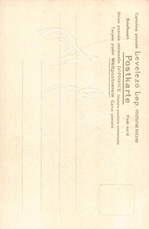 Birth Announcement Storks Flying at Sunset Lake embossed postcard C318