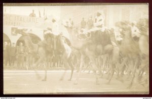 dc1158 - ITALY MILITARY 1911-12 Italo-Turkish War Camel Cavalry. Libya. RPPC