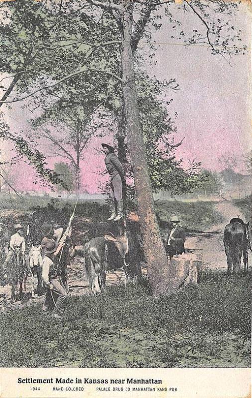 Manhattan KS Settlement Tree Hanging Postcard