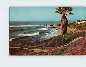 Postcard Beautiful California Shoreline California USA