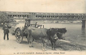 In the Basque Country - Basque cows carriage around Bayonne