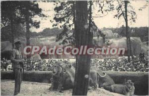 Postcard Old Wood Vicennes Paris National Museum of Natural Zoo Hostoire