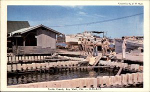 Key West Florida Turtle Crawls c1950-60s Vintage Postcard