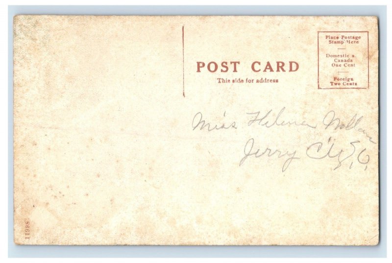 C1910's Prehistoric Mound At Newark, Oh. Postcard F86E