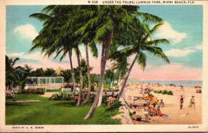 Florida Miami Beach Lummus Park Relaxing Under The Palms Curteich