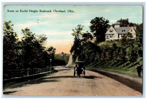 1910 Horse Carriage Scene on Euclid Heights Boulevard Cleveland Ohio OH Postcard