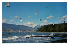 English Bay, Stanley Park, Mountains, Vancouver, British Columbia, Seagulls