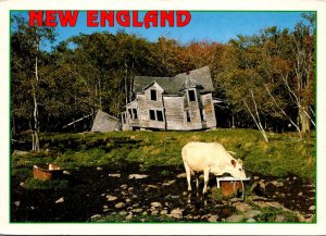 Humour New England Old Homestead Showing Signs Of Time and Neglect