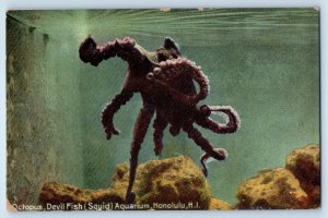 c1910 Honolulu Hawaii Postcard Octopus Devil Fish Squid Aquarium Exterior View