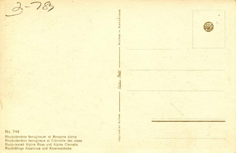 Flowers -   Rhododendron, Alpine Clematis      (Edition Stehli #744)