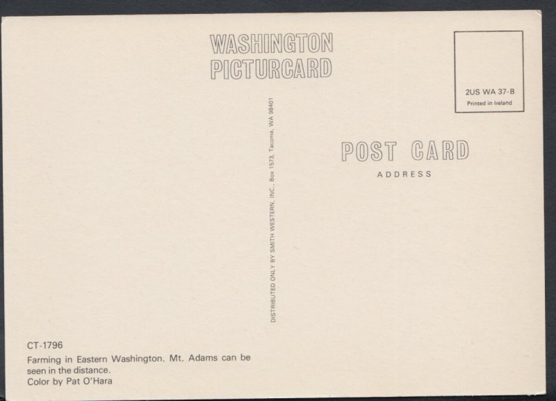 America Postcard - Farming in Eastern Washington   RR3021