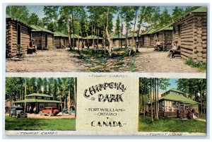 c1910 Cabins Chippewa Park Fort William Ontario Canada Multiview Postcard