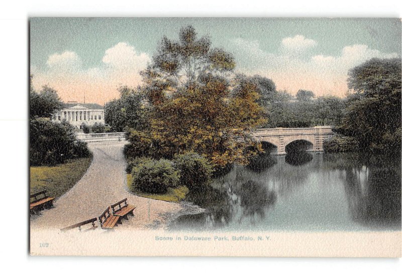 Buffalo New York NY Postcard 1907-1915 Scene in Delaware Park