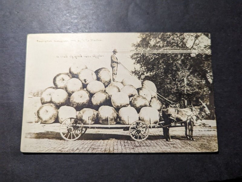 Mint USA RPPC Postcard Farmer and His Wagon of Large Pumpkins