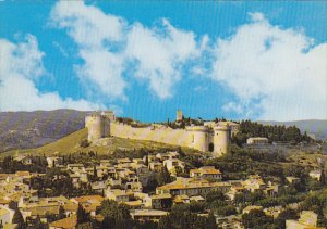 Le Fort Saint-Andre Avignon France