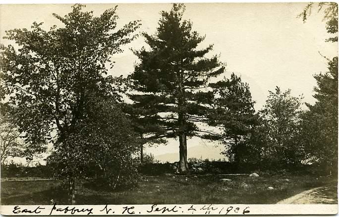 RPPC A View in East Jaffery - Cheshire County, New Hampshire pm 1906 at Rindge