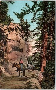 c1910 MT WILSON CALIFORNIA ON MOUNTAIN TRAIL HORSES POSTCARD 41-61