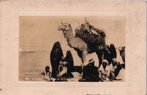 Egypt Le Caire Groupe de Bédouins et Chameaux Vintage RPPC C234