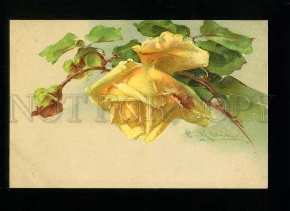 134607 Yellow ROSES by C. KLEIN vintage PFB colorful PC