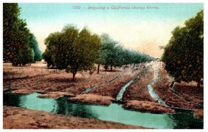 No. 1503 Irrigating a California Orange Grove Mitchell Postcard