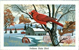 Cardinal or Red Bird the State Bird Indiana Postcard