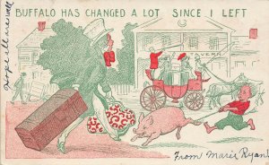 LP06  Buffalo New York NY Comic Postcard 