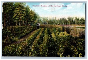 Hot Springs Alaska AK Postcard Vegetable Garden Farm Field c1910 Vintage Antique