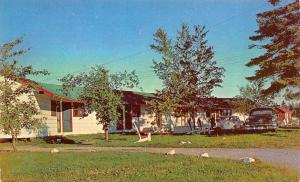 BATHURST, NB Canada  FERGUSON'S MOTEL & CABINS  Cars  ROADSIDE  c1950's Postcard 