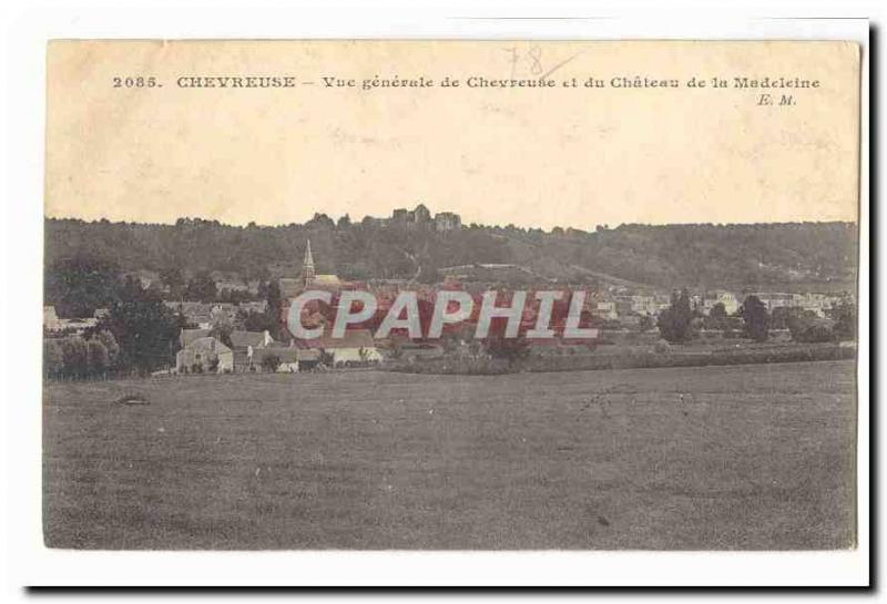 Chevreuse Old Postcard General view of Chevreuse and Château de la Madeleine