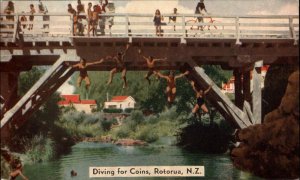 Rotorua New Zealand NZ Children Diving off Bridge for Coins Vintage Postcard