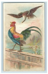1870's-80's Edward Rose Custom Tailors Chicago Fighting Cocks Eagle Card F30