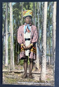 Mint Usa Picture Postcard Native American Indian Tom Tiger Seminole Chief FL