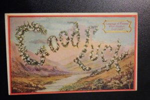 Mint USA Advertising Postcard Balch Publishing Co Home Life Chicago Illinois