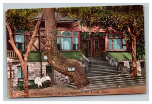 Vintage 1900's Postcard Entrance & Workers Alpine Tavern Mt. Lowe California