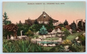 SHELBURNE FALLS, MA ~ Hand colored FRANKLIN FORESTRY COMPANY c1940s Postcard