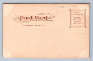 DE SOTA PARK TAMPA FLORIDA POSTCARD (c.1905)